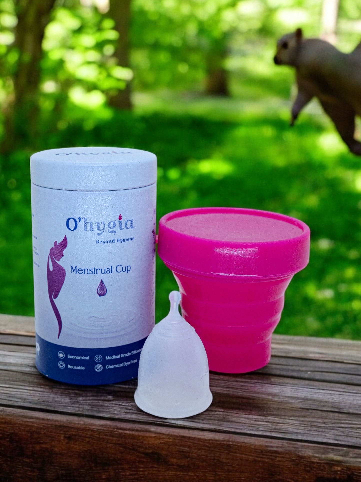 O'hygia Menstrual Cup with Foldable Sterilizer